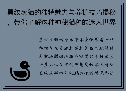 黑纹灰猫的独特魅力与养护技巧揭秘，带你了解这种神秘猫种的迷人世界